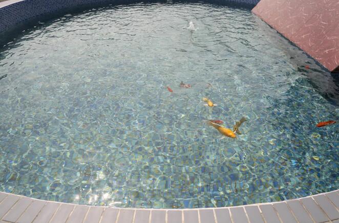 J9����|����վ����