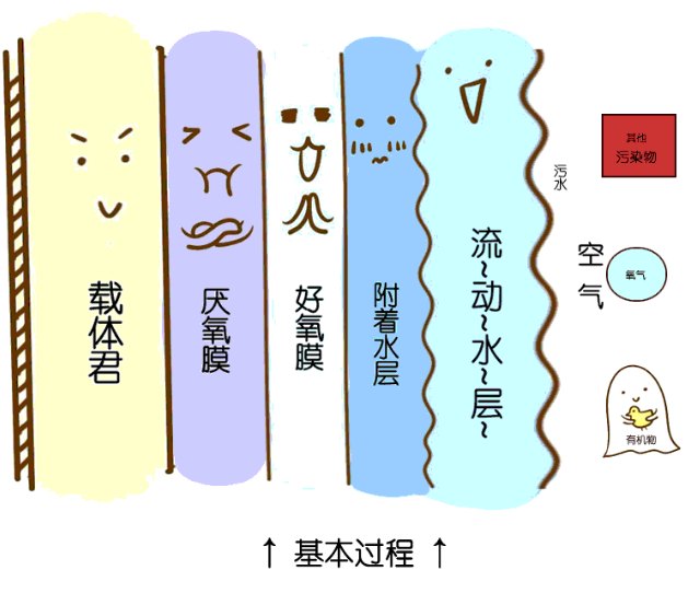 J9����|����վ����