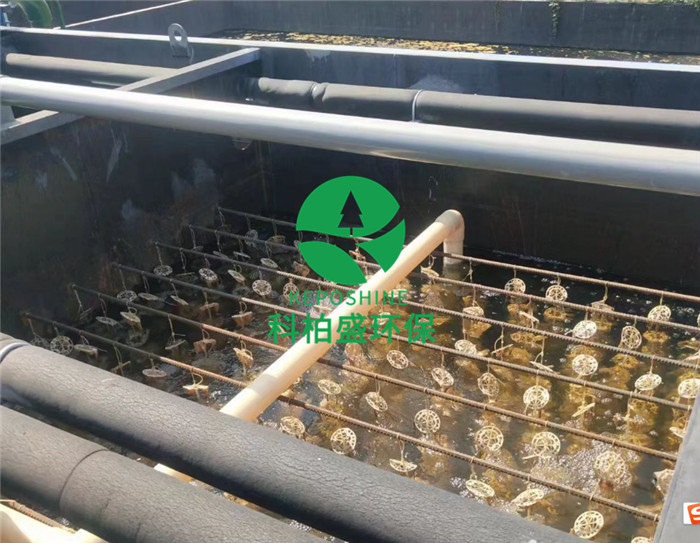 J9����|����վ����