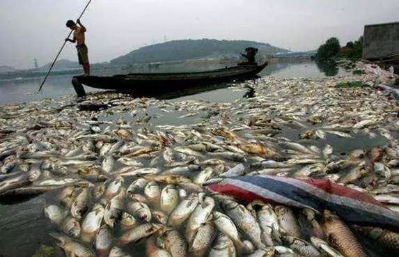 J9����|����վ����