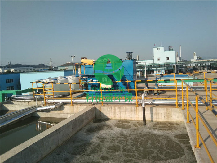 J9����|����վ����